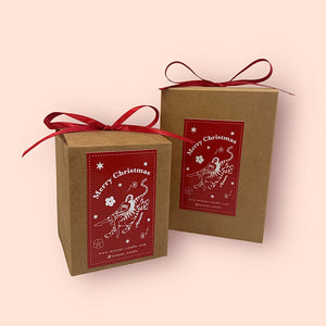 Christmas Gift Box